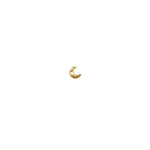 Billi Moon Earring