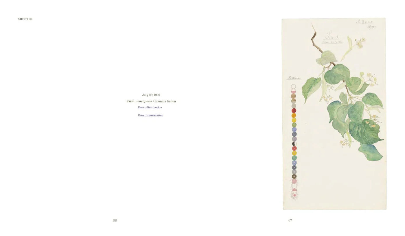 Hilma af Klint - What Stands Behind the Flowers