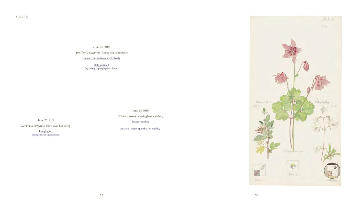 Hilma af Klint - What Stands Behind the Flowers