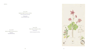 Hilma af Klint - What Stands Behind the Flowers
