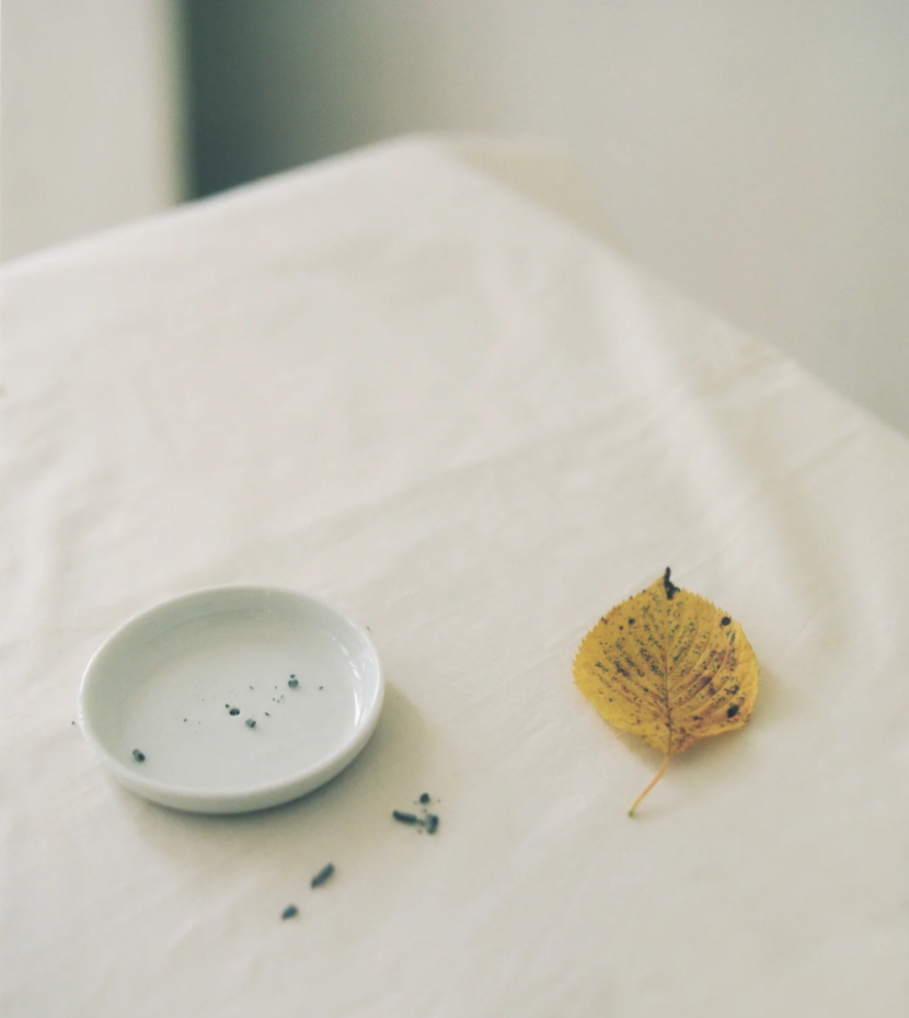 Porcelain Incense Holder