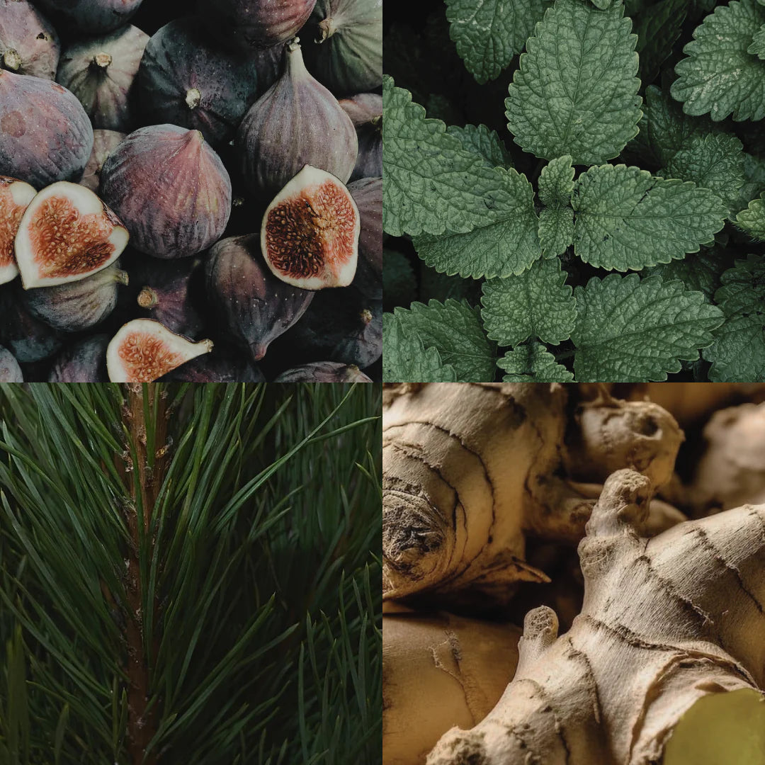 The House Cologne / Room Spray