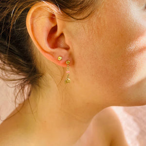 Elma Earring / Tigers Eye