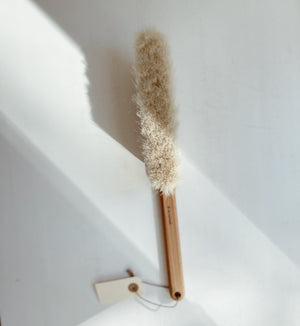Dust Brush