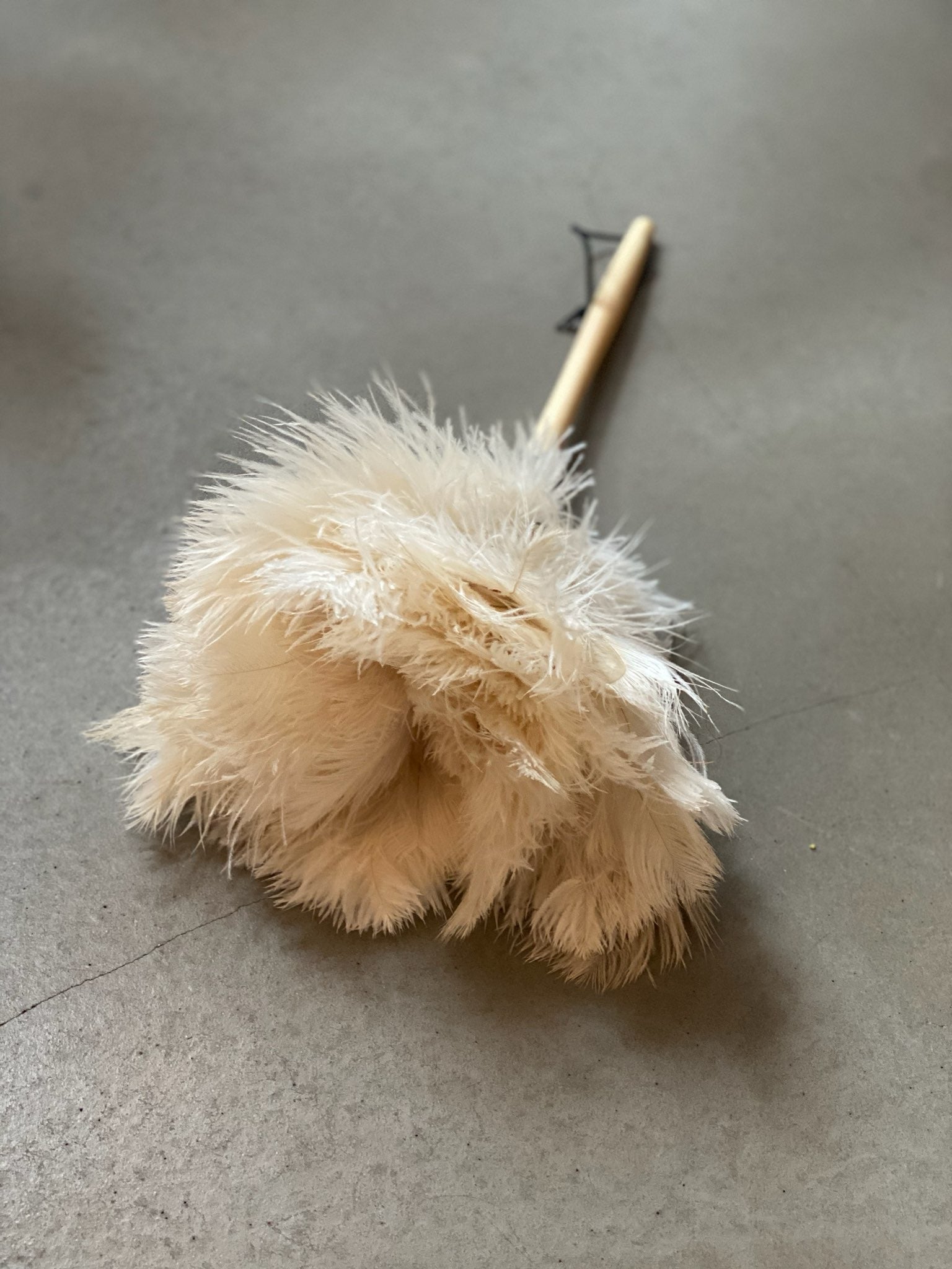 Ostrich Feather Duster