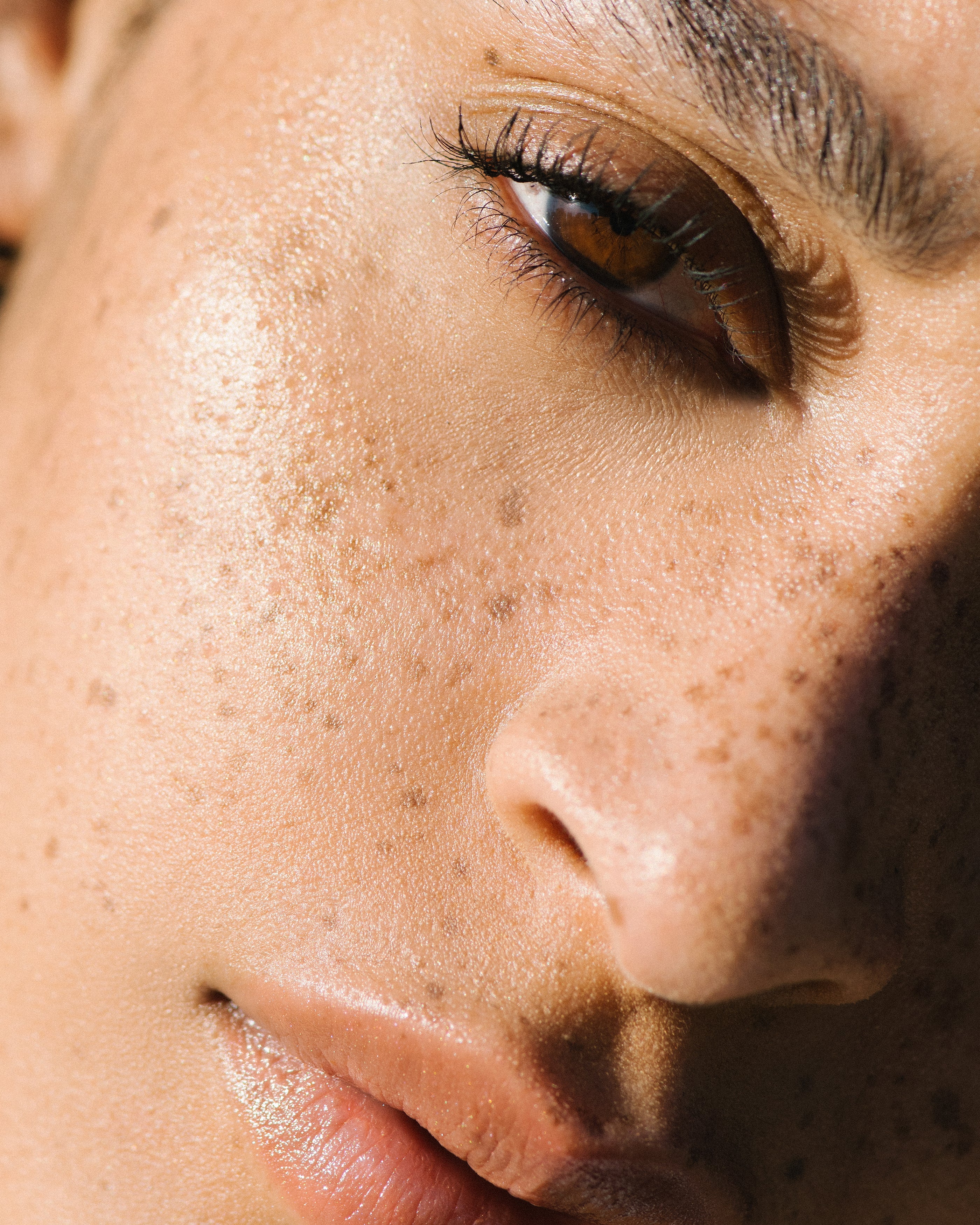 Bronzelighter / Roseate