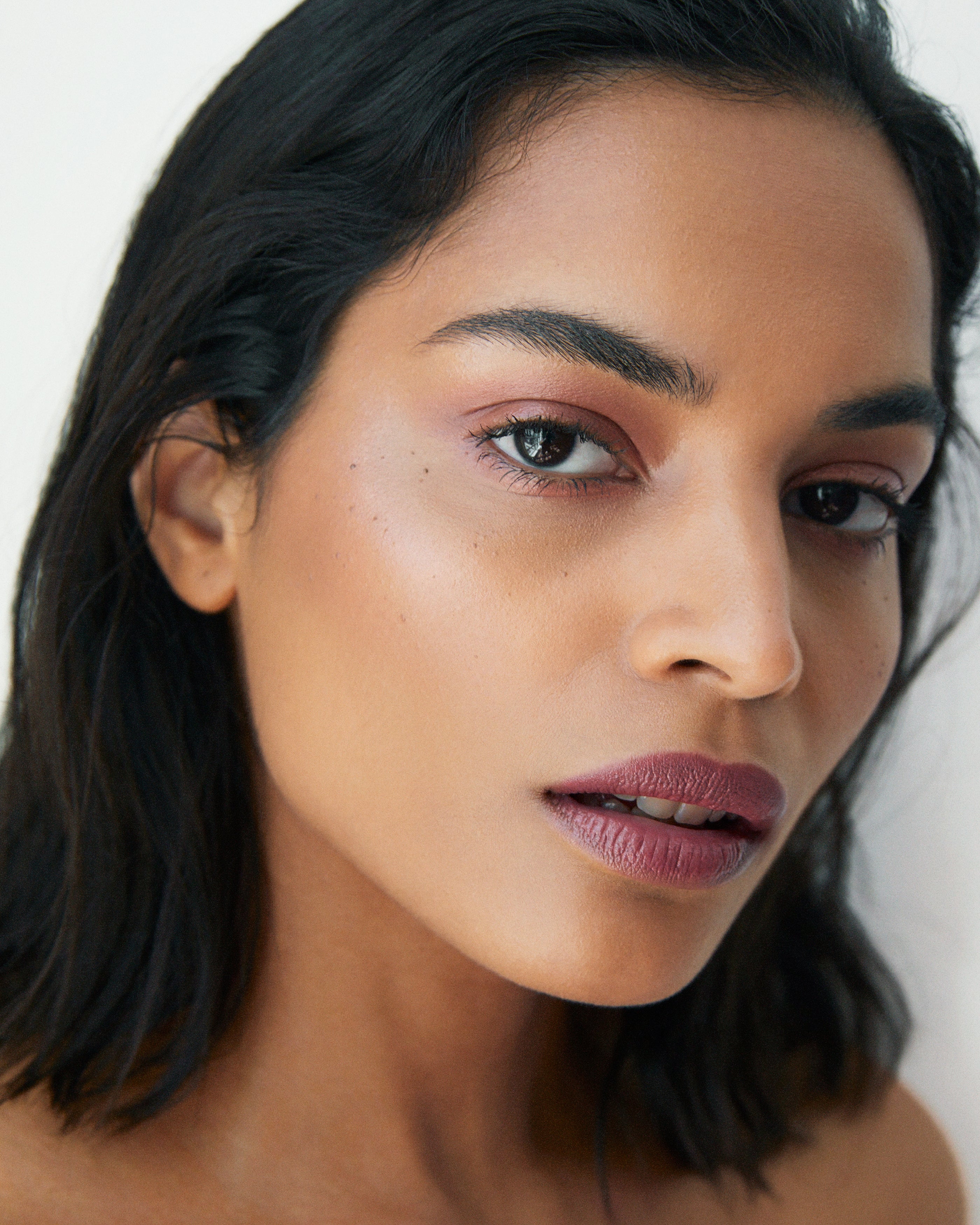 Bronzelighter / Roseate